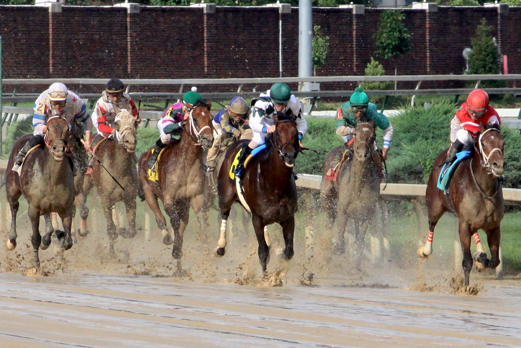 Which factors influence betting at the Kentucky Derby?